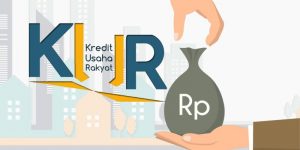 8 Daftar Bank Penyalur Kredit Usaha Rakyat (KUR)