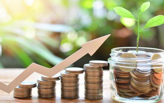 5 Reksadana Pasar Uang Terbaik untuk Investor Pemula