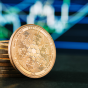 Cara Mendapatkan dan Investasi Cardano Bagi Pemula